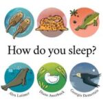 How Do You Sleep?