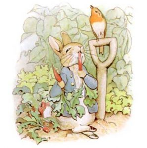The story of Peter Rabbit
